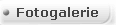 Fotogalerie