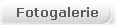 Fotogalerie